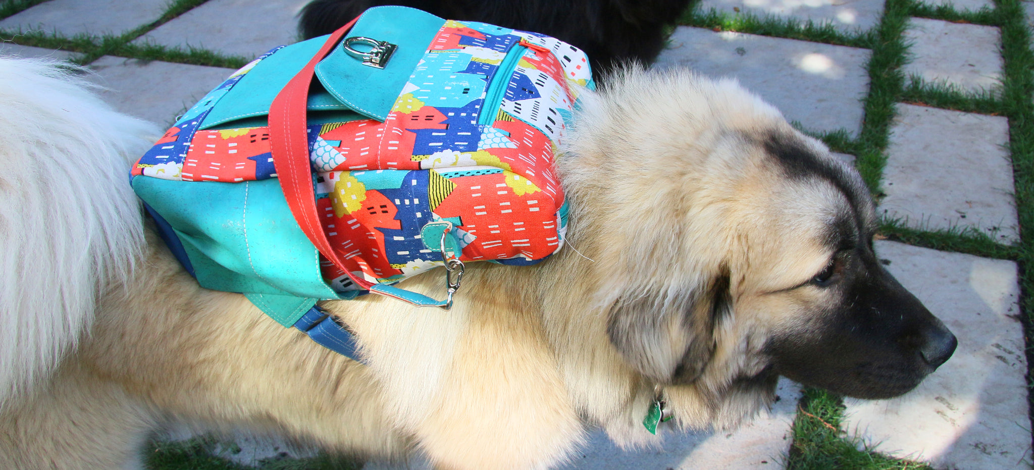 Introducing the Boulder Backpack!