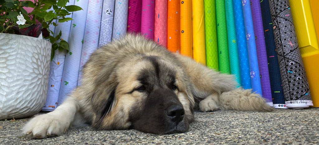 Favorite Things - From Inspiration to Fabric!