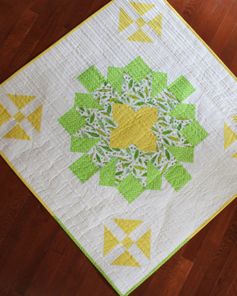 Shivaun Place Quilt Pattern
