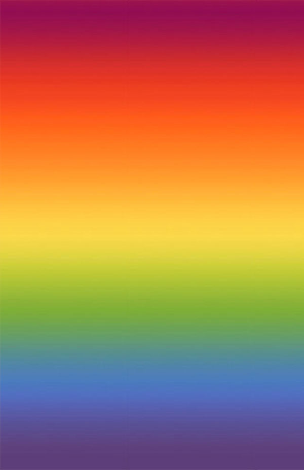 Rainbow Ombre 108" Wide Fabric