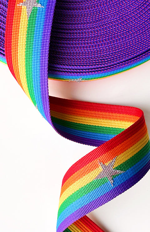 Rainbow Stripe - 2in Handle Webbing